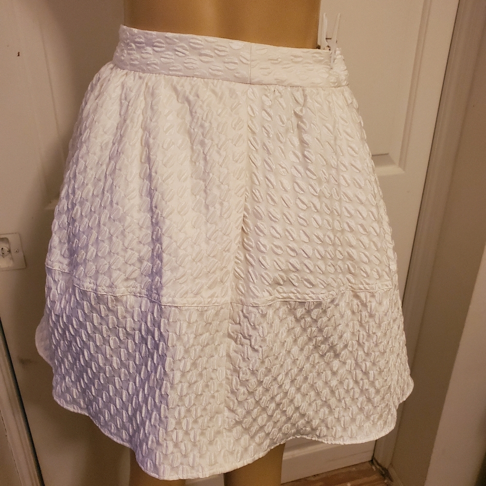 Express skirt